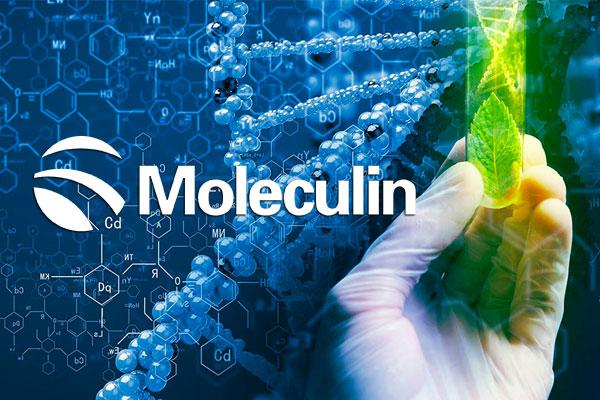 Moleculin Reports Dosing of Novel Brain Cancer Drug WP1066 in P-I trial for the treatment of Brain Tumor