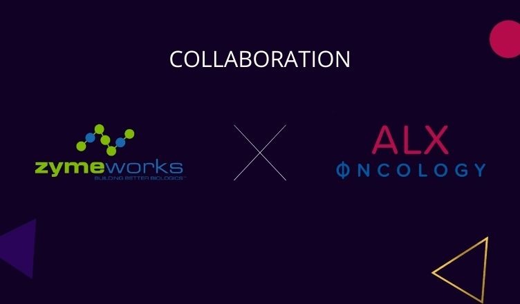 Zymeworks and ALX Oncology Collaborate to Evaluate Zanidatamab + ALX148 for Advanced HER2‑Expressing Breast Cancer