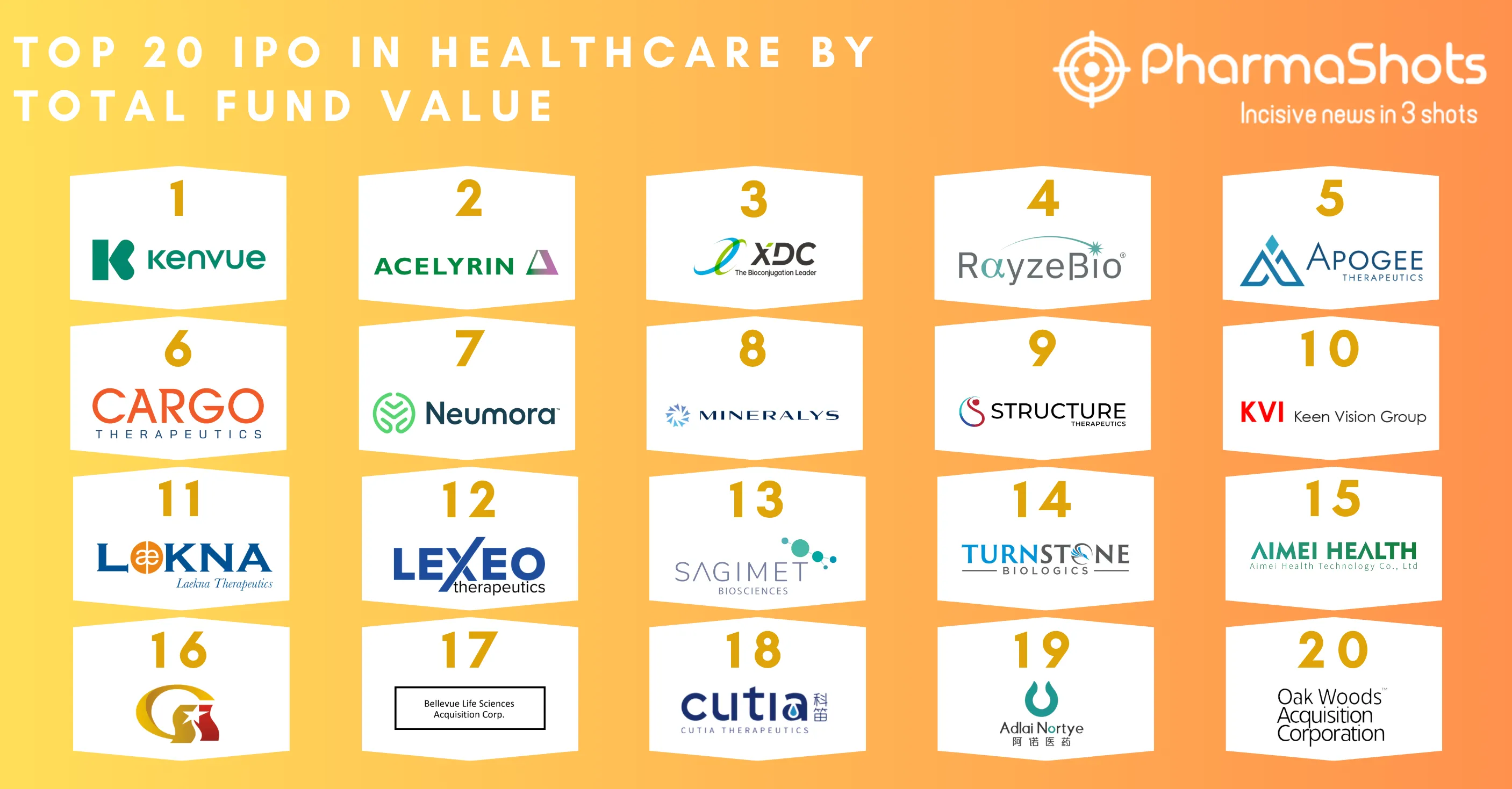 Top 20 IPOs in Healthcare by Total Fund Value 2023